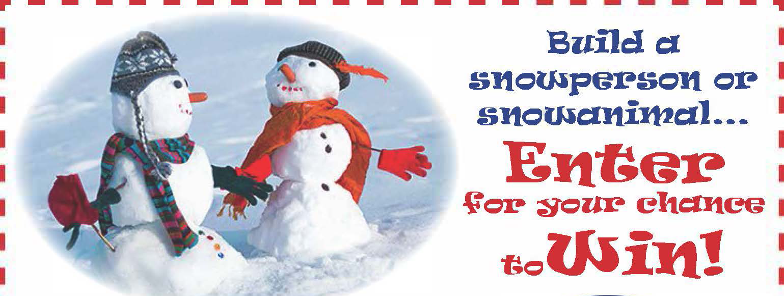 Build a Snowperson or Snowanimal Contest