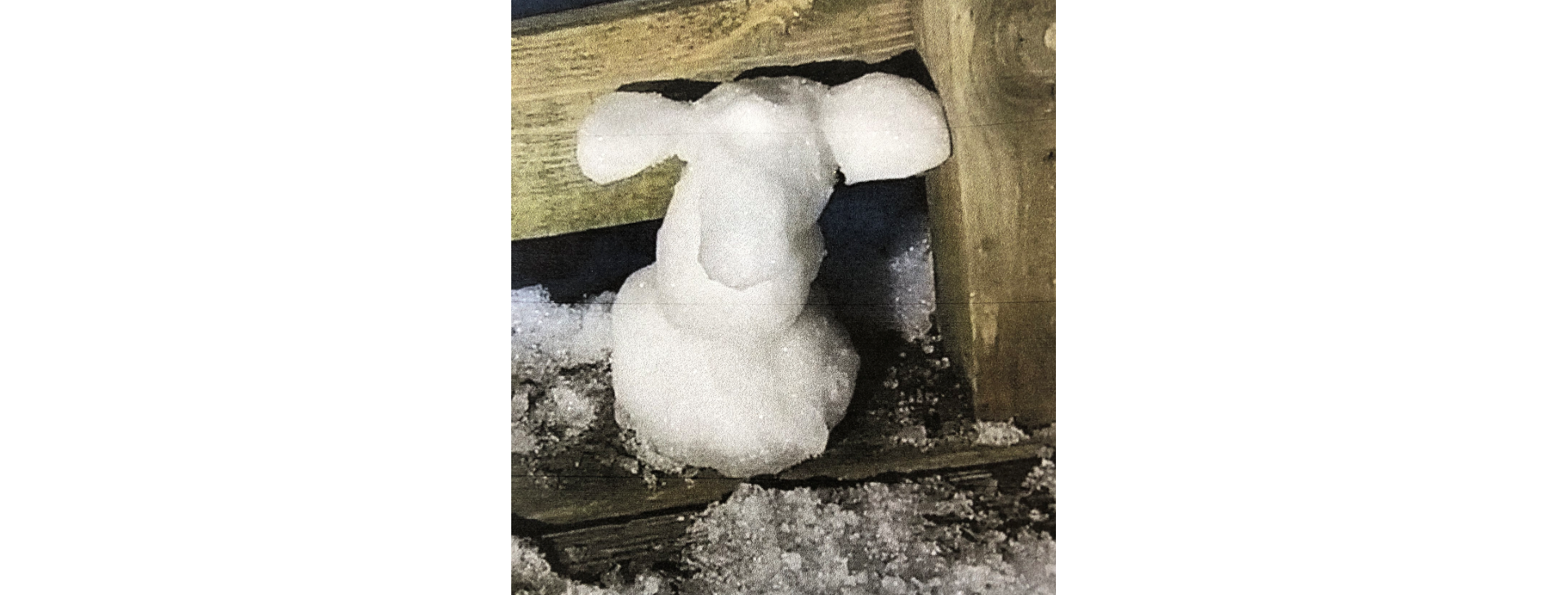 Build a Snowperson or Snowanimal Contest Entry