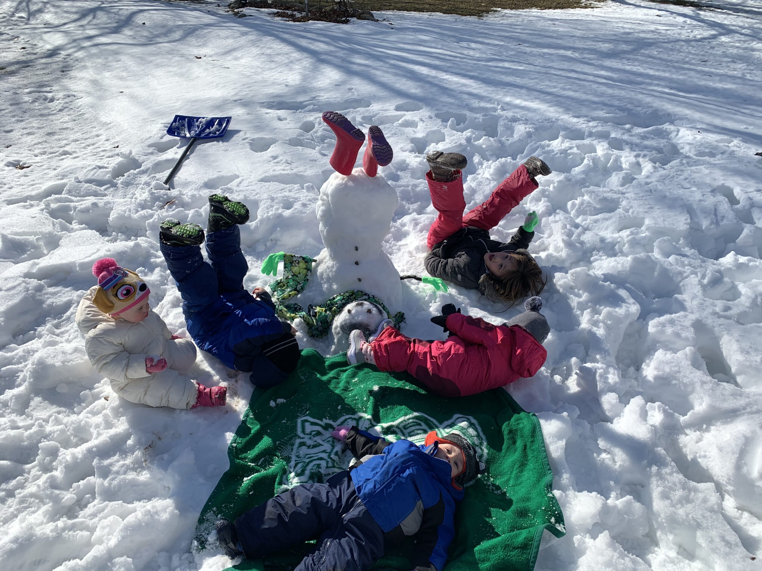 Build a Snowperson or Snowanimal Contest Entry
