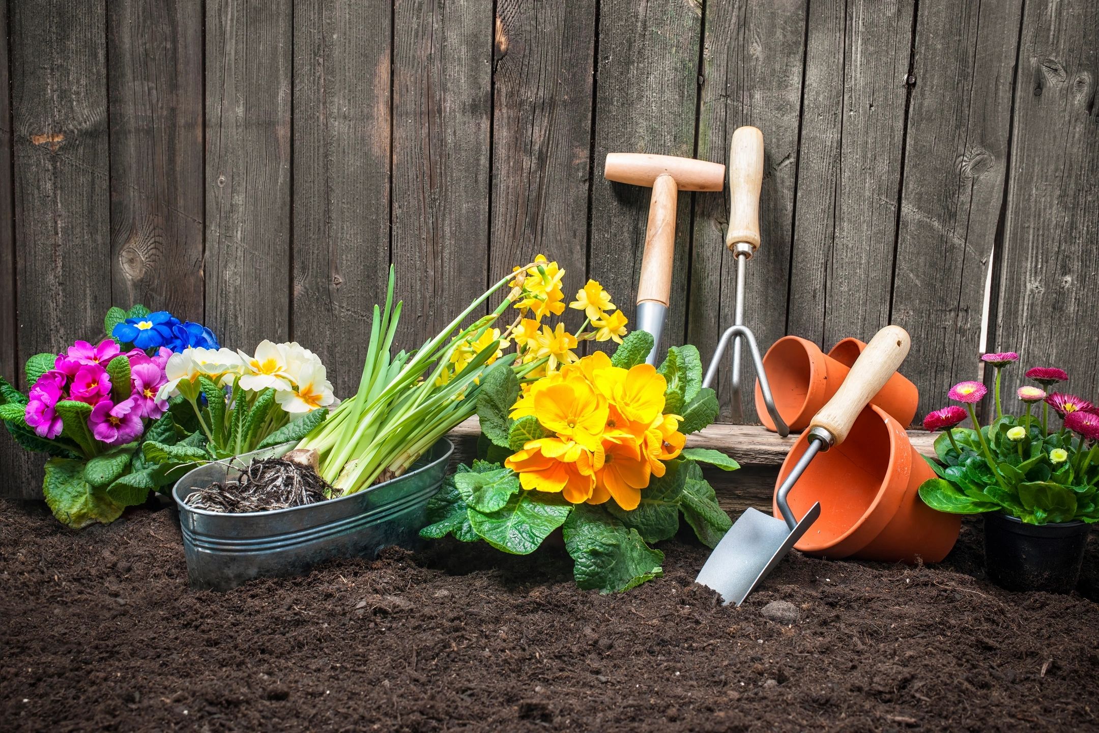 ‘Handy’ tips to stay safe while working in the garden