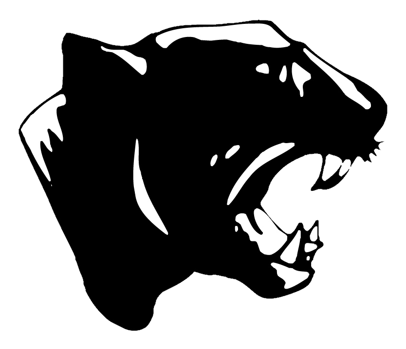 Cross Country Teams Compete at South Lyon Invite