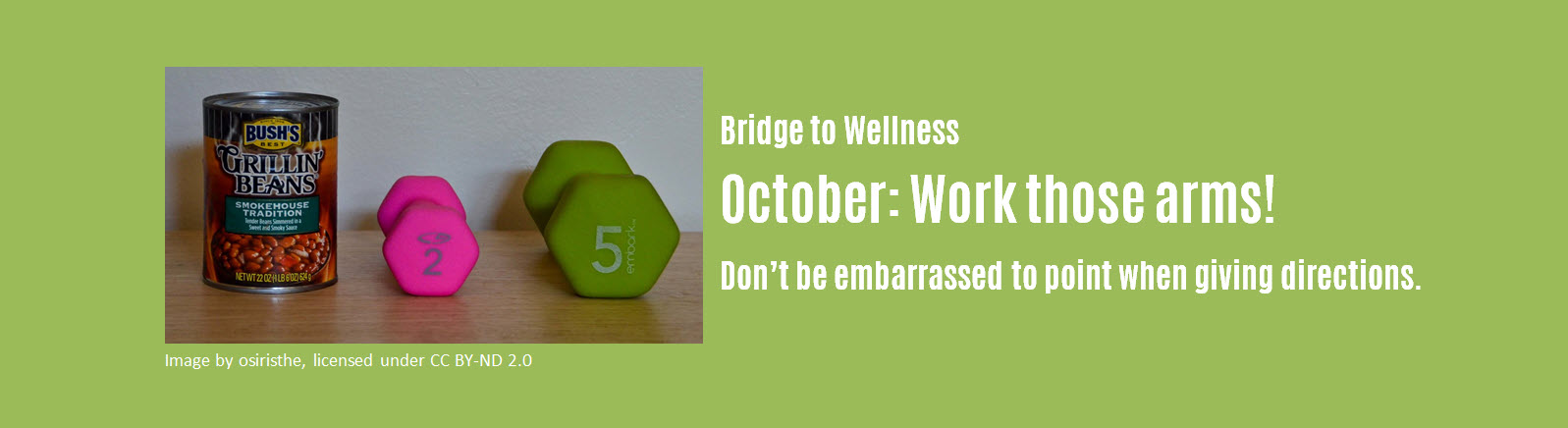 Bridge to Wellness