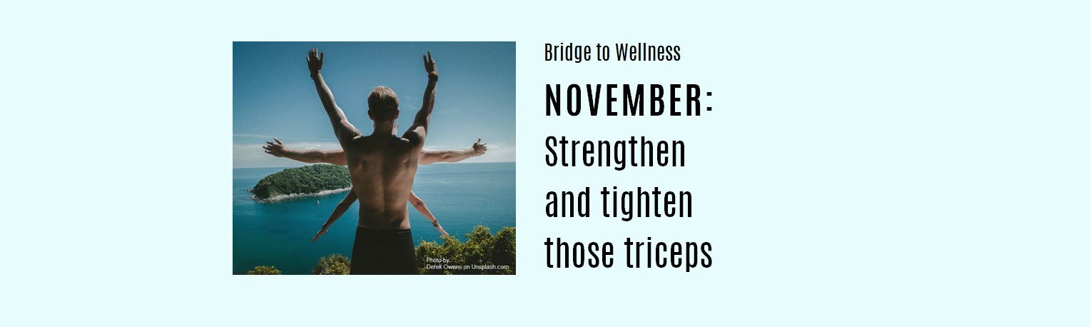 Bridge to Wellness