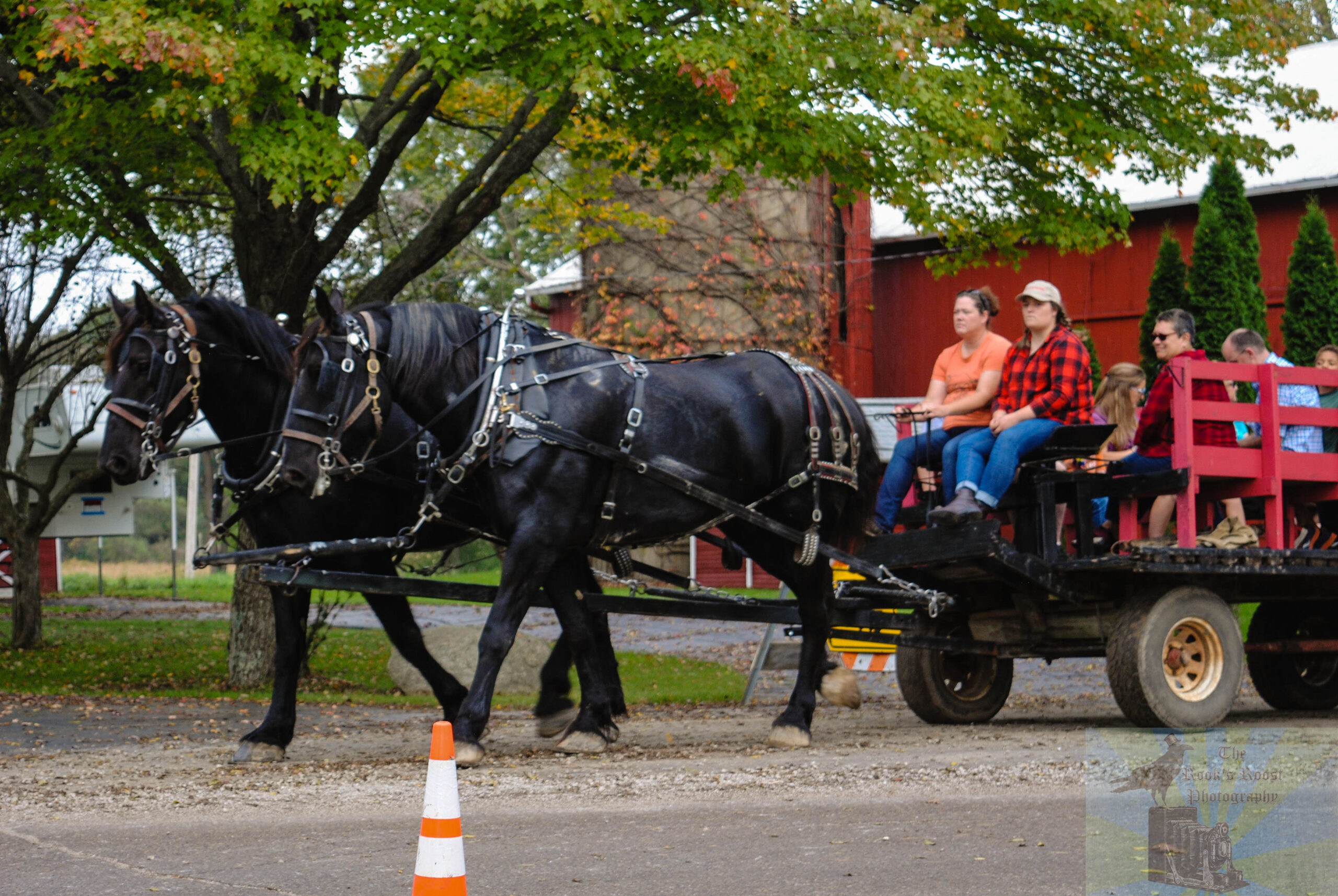 Pioneer Day brings area’s history to life