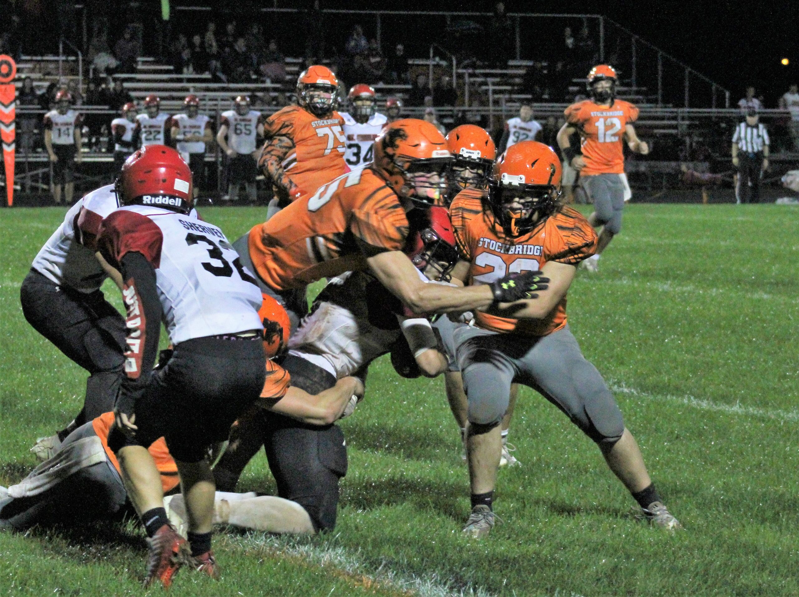Panthers Rally Past Dansville in Season Finale