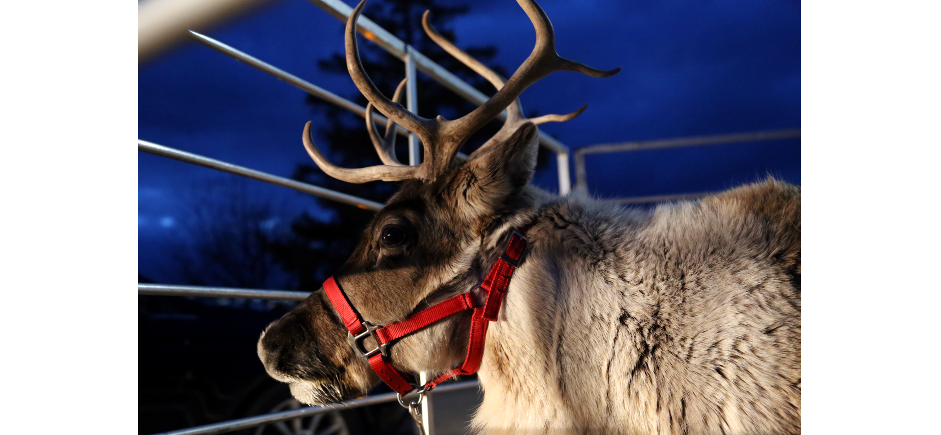 From CADL Stockbridge