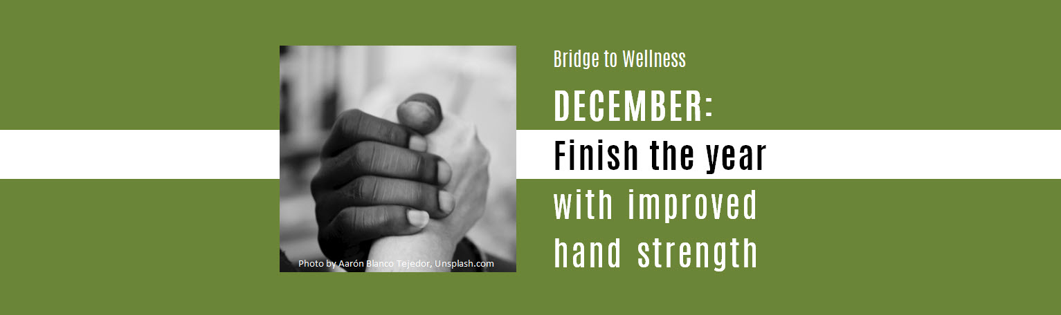 Bridge to Wellness