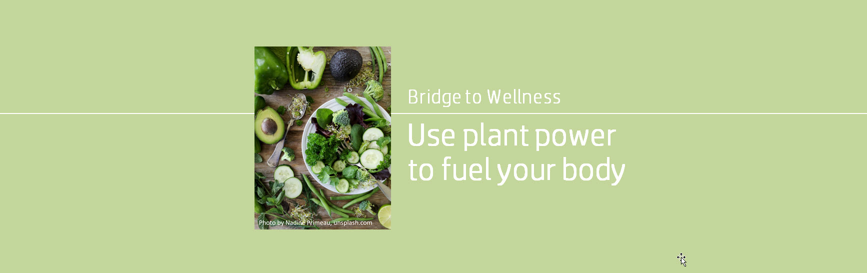 Bridge to Wellness