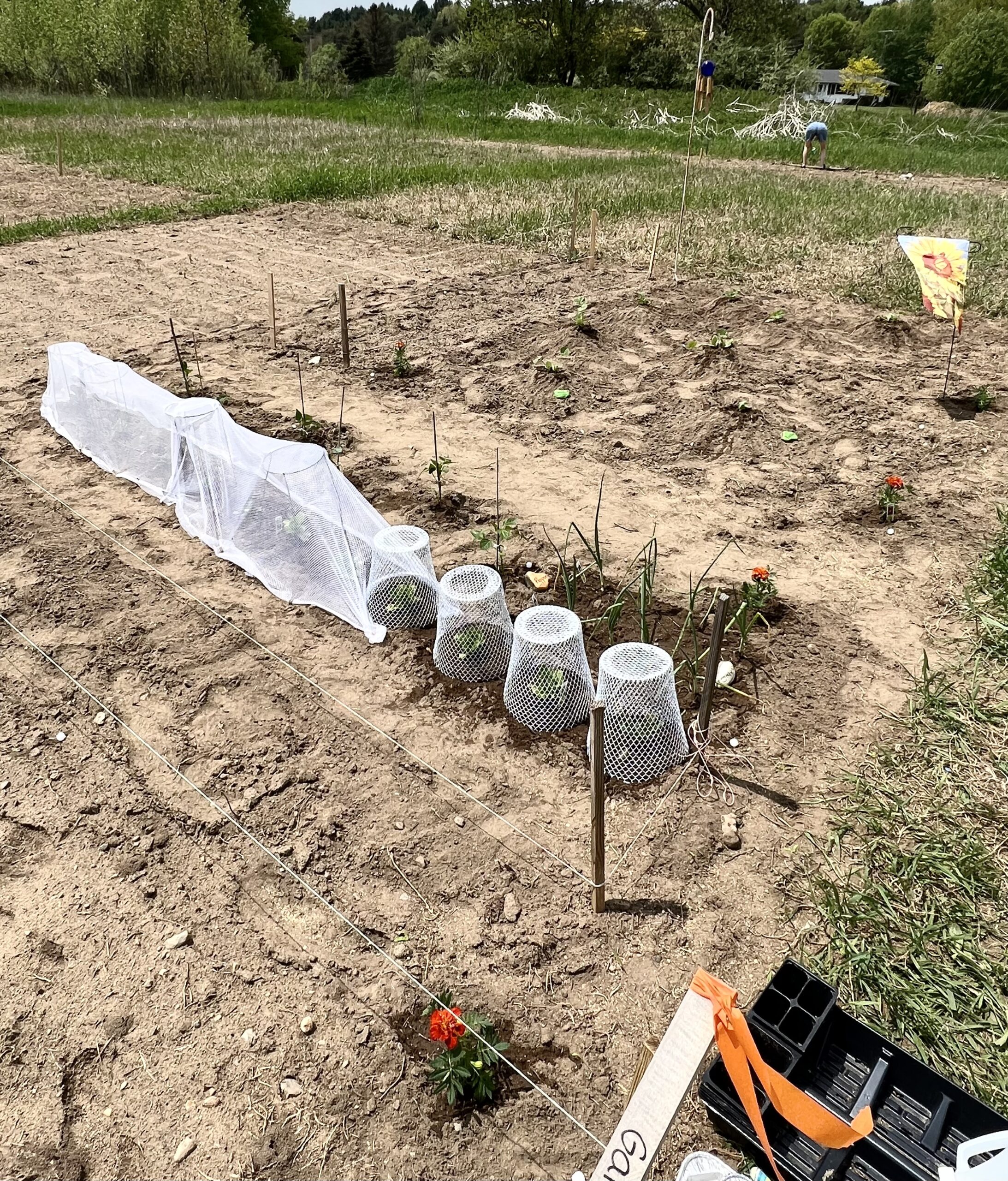 Rainwater now makes Community Gardens grow
