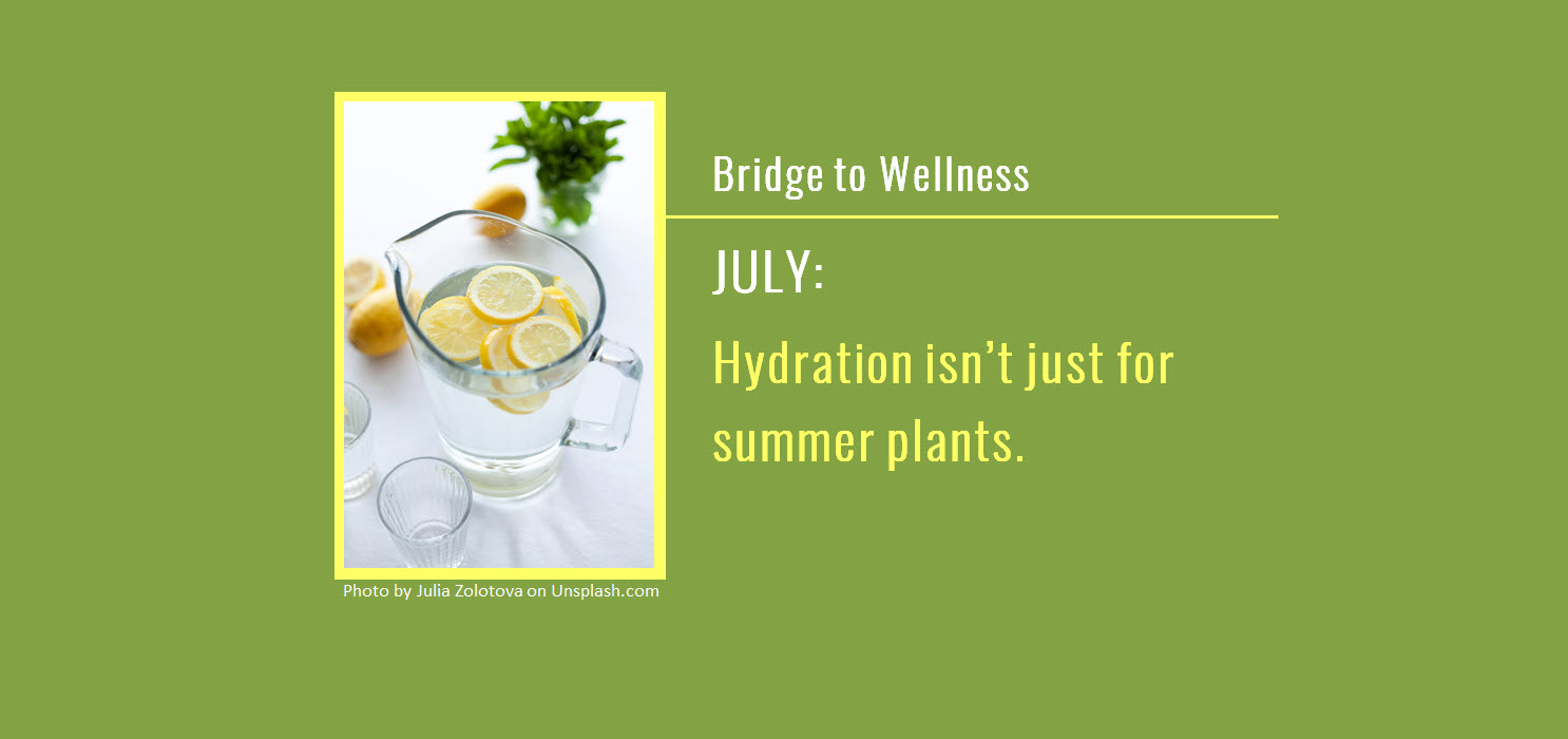 Bridge to Wellness