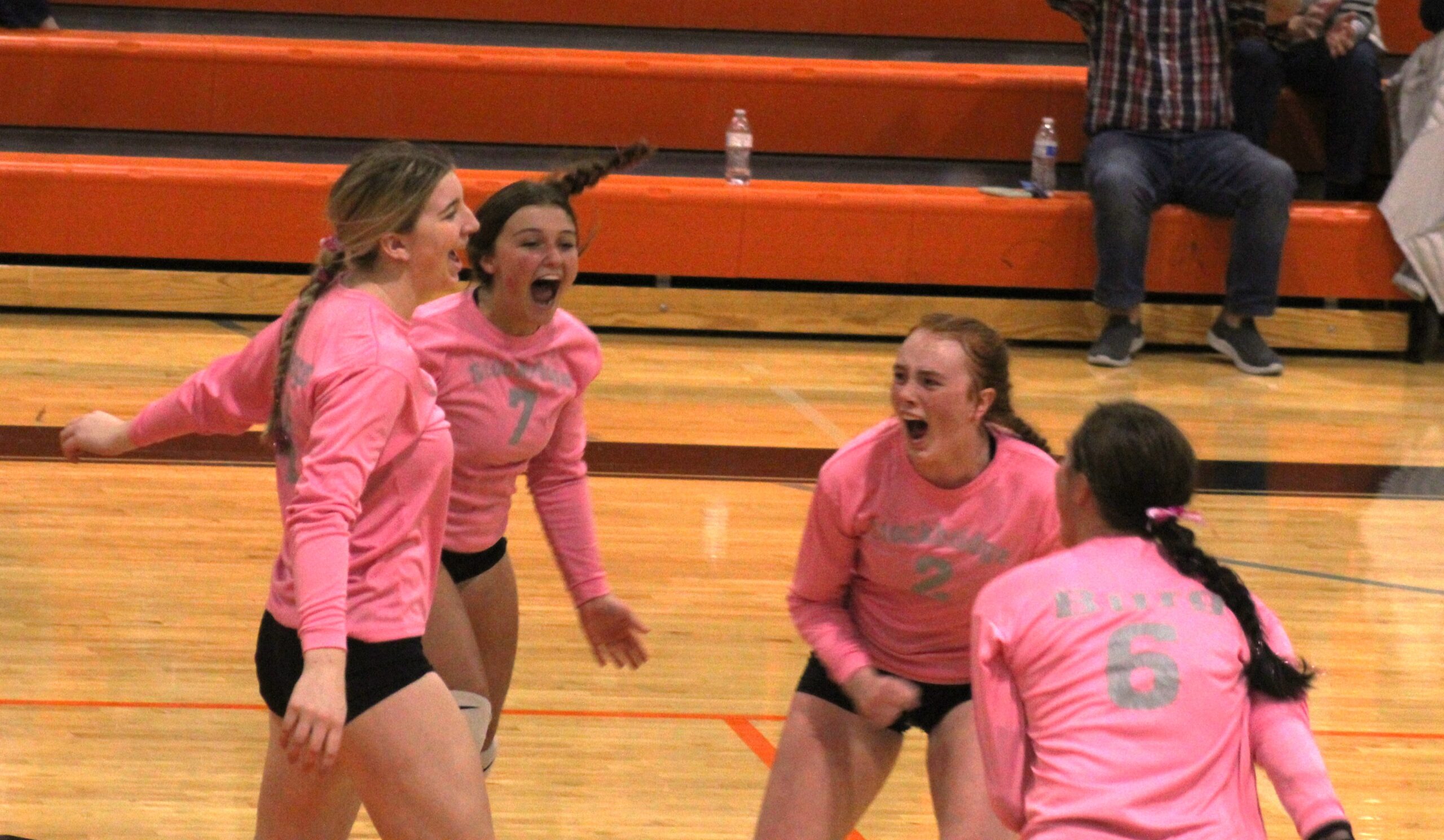 Volleyball Rolling into Post-Season