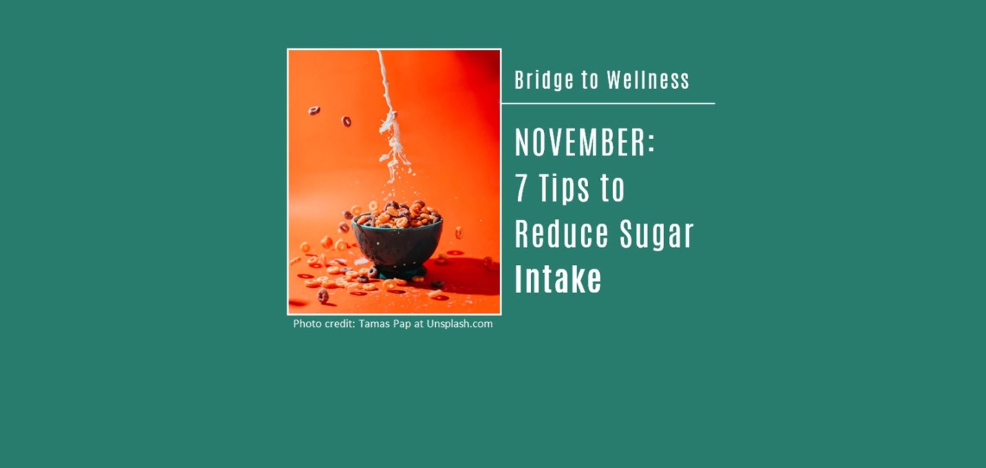 Bridge to Wellness