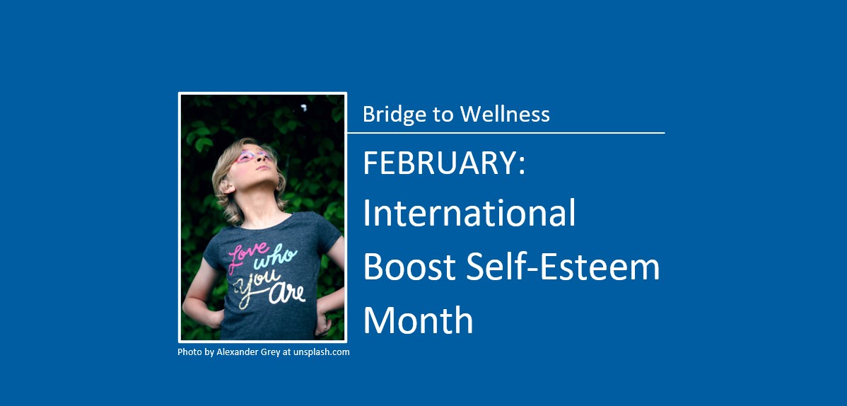 Bridge to Wellness