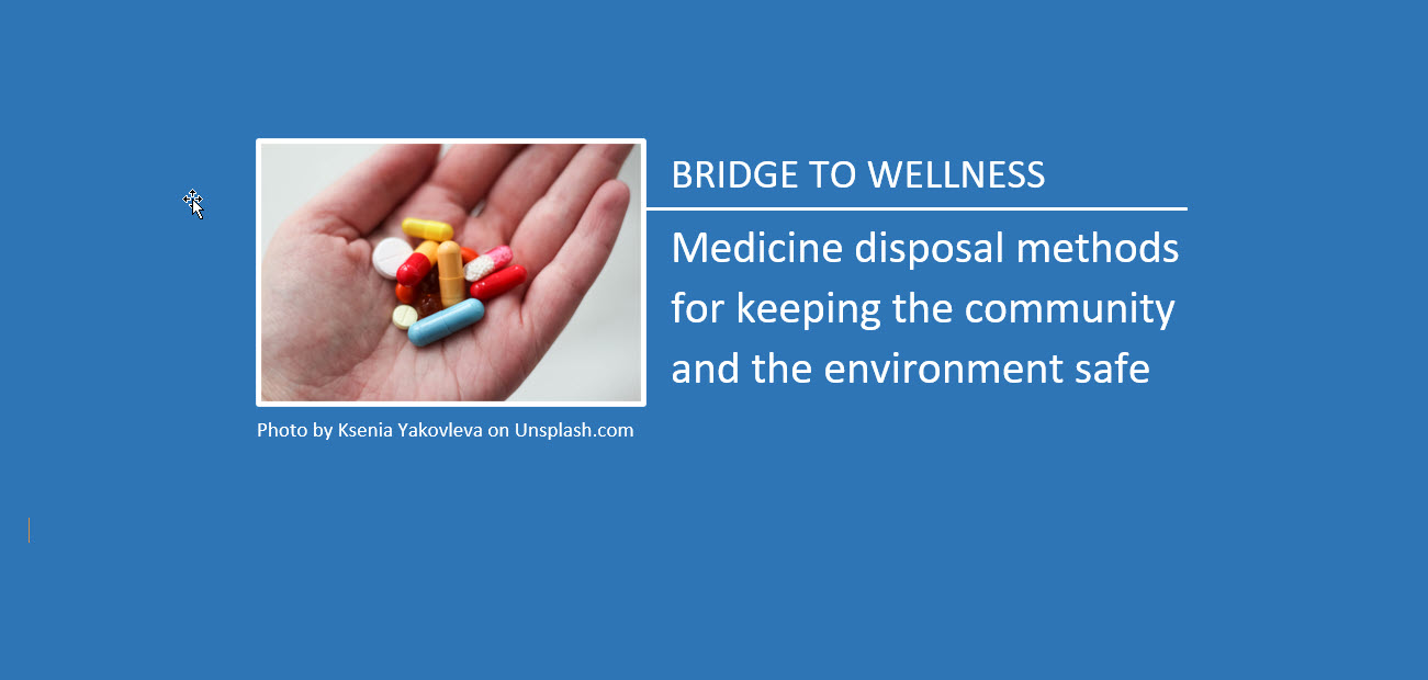 Bridge to Wellness