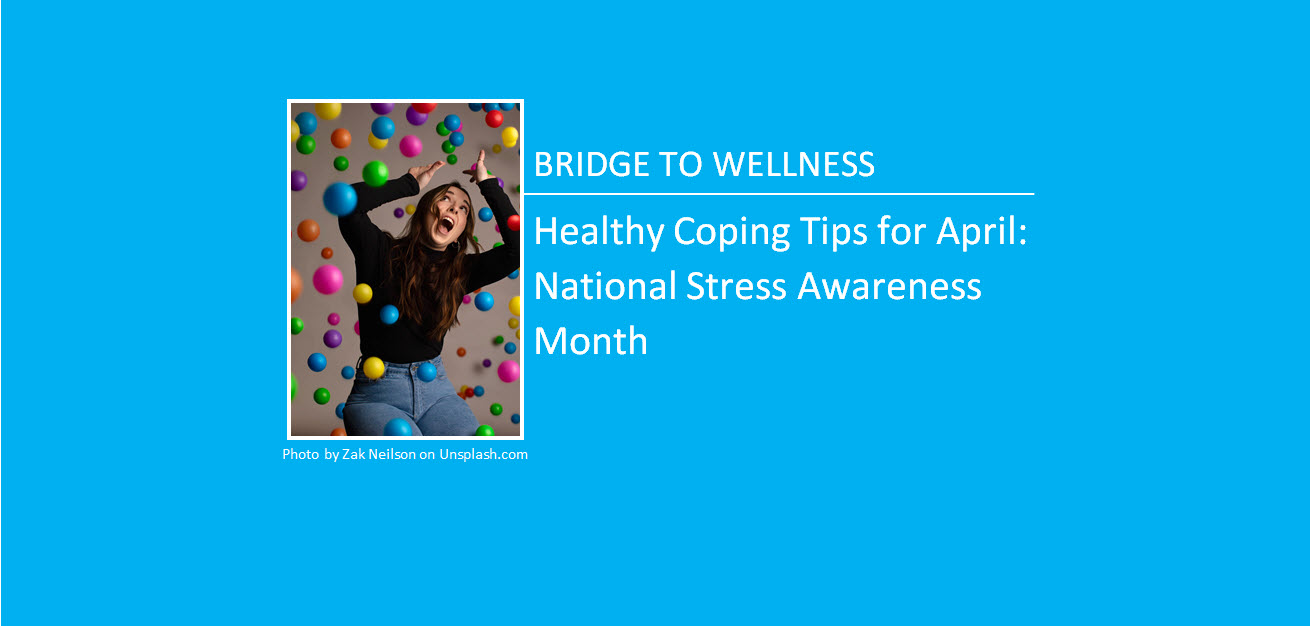 Bridge to Wellness