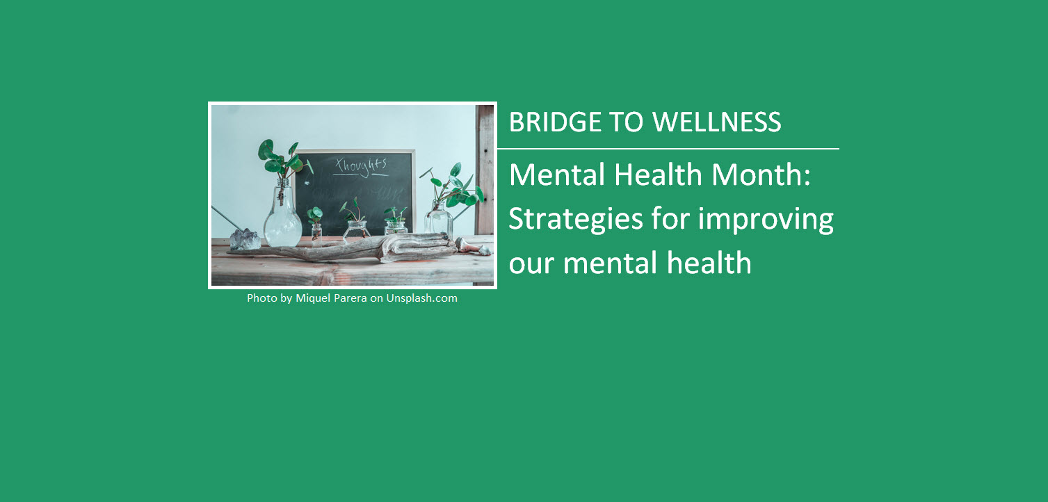 Bridge to Wellness