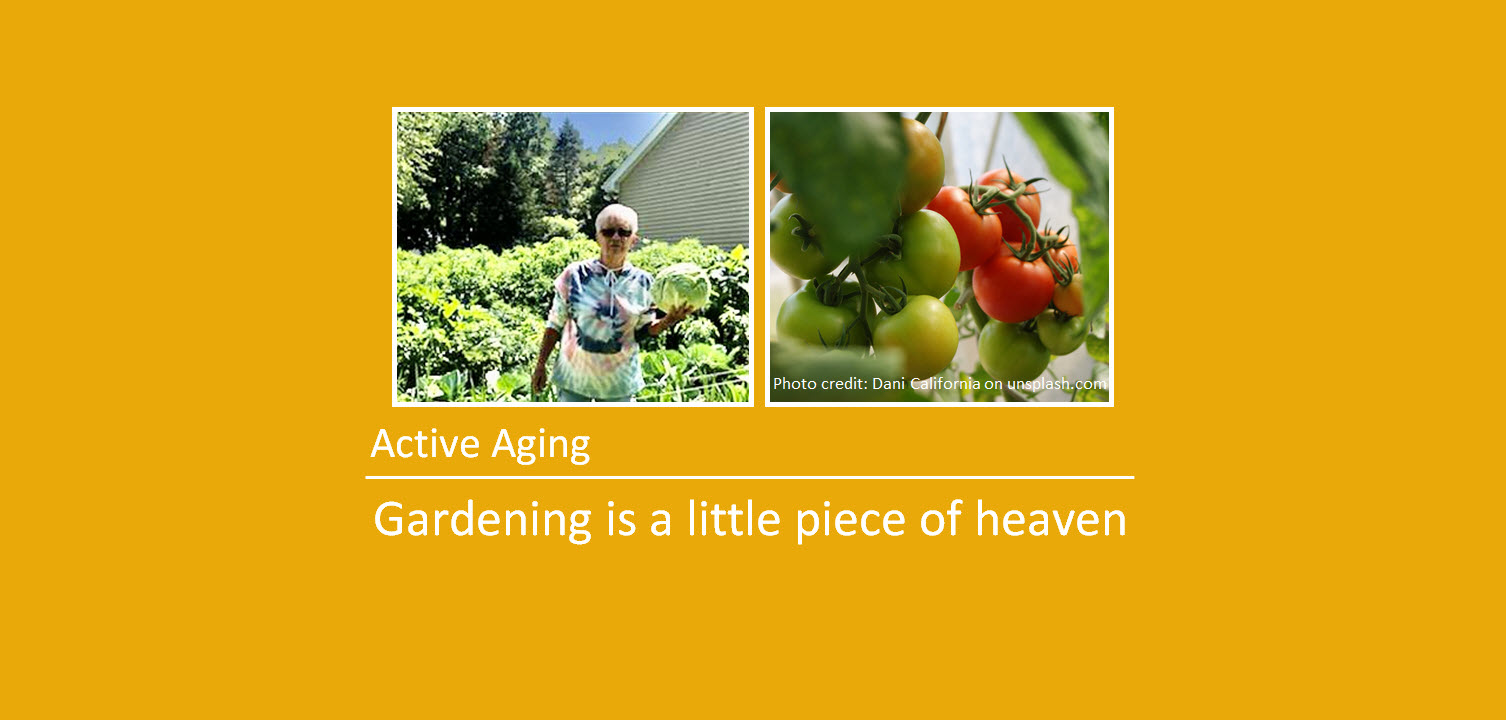 Active Aging: Gardening is a little piece of heaven