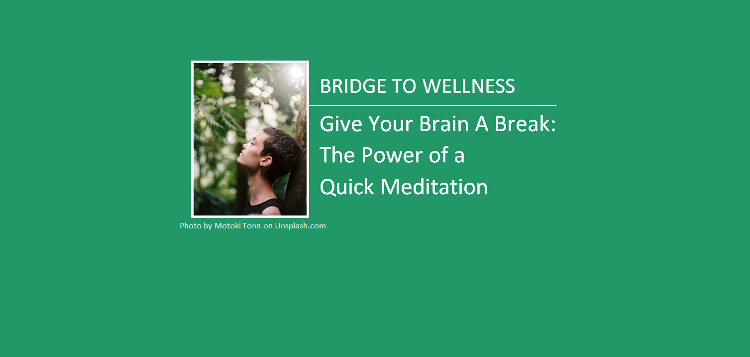 Bridge to Wellness