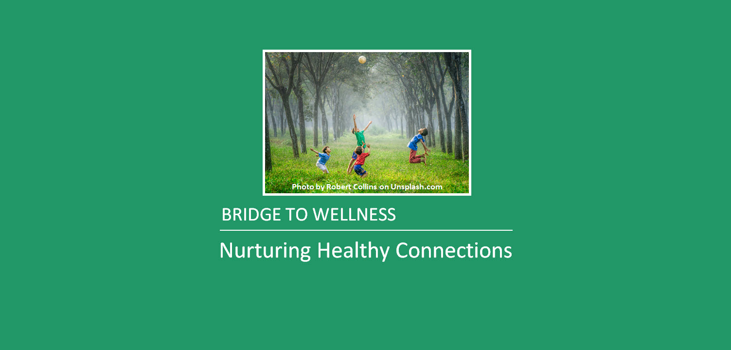 Bridge to Wellness