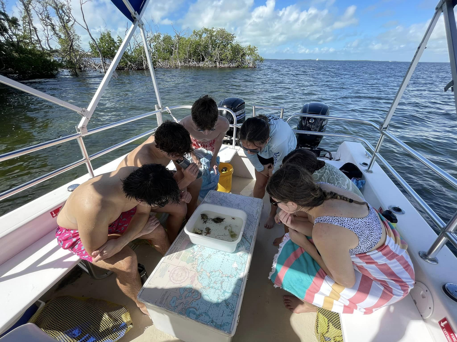 Stockbridge FFA students learn about Marine Biology in Key Largo