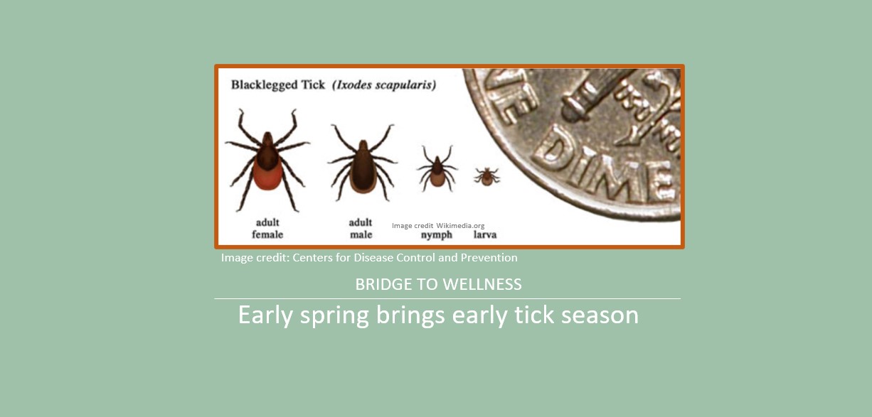 Bridge to Wellness: Early spring brings early tick season
