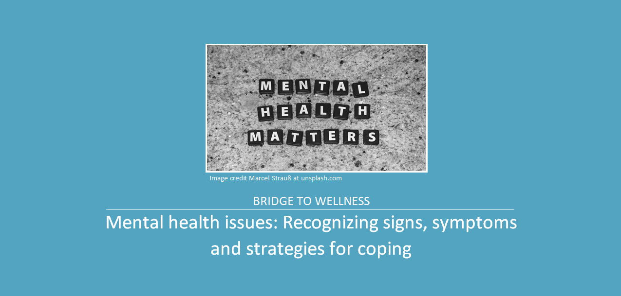 Bridge to Wellness