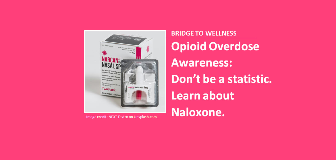 Bridge to Wellness