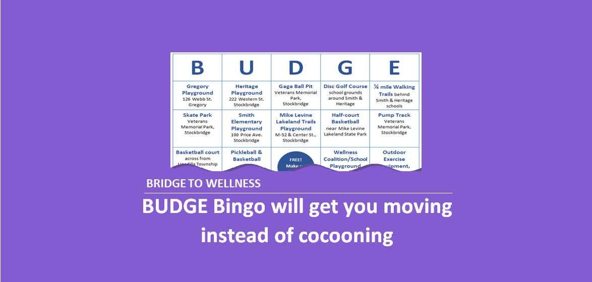 Bridge to Wellness