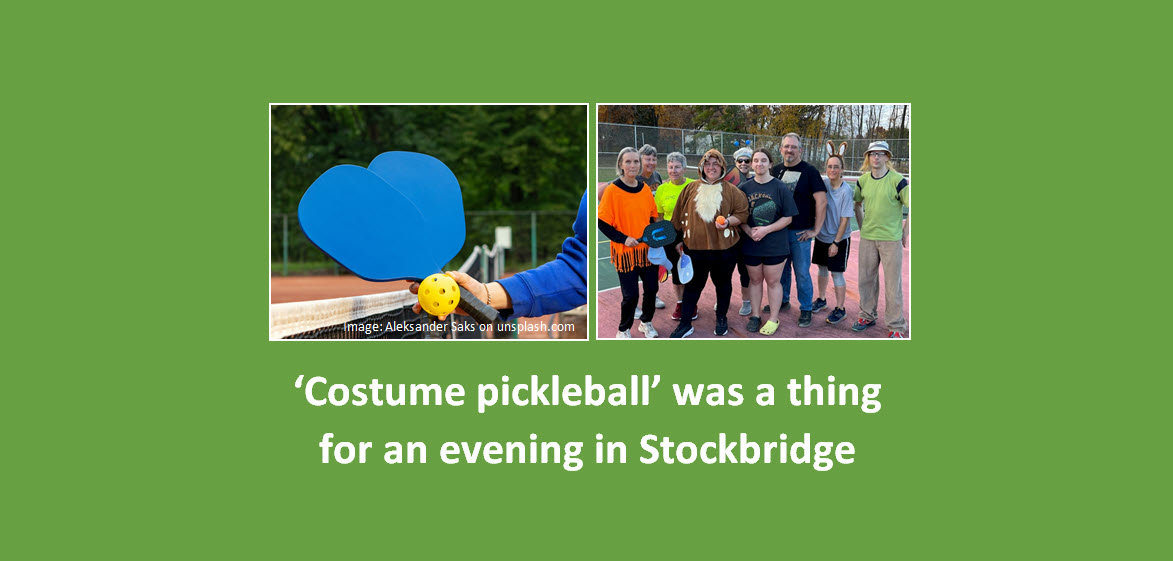 ‘Costume pickleball’ was a thing for one evening