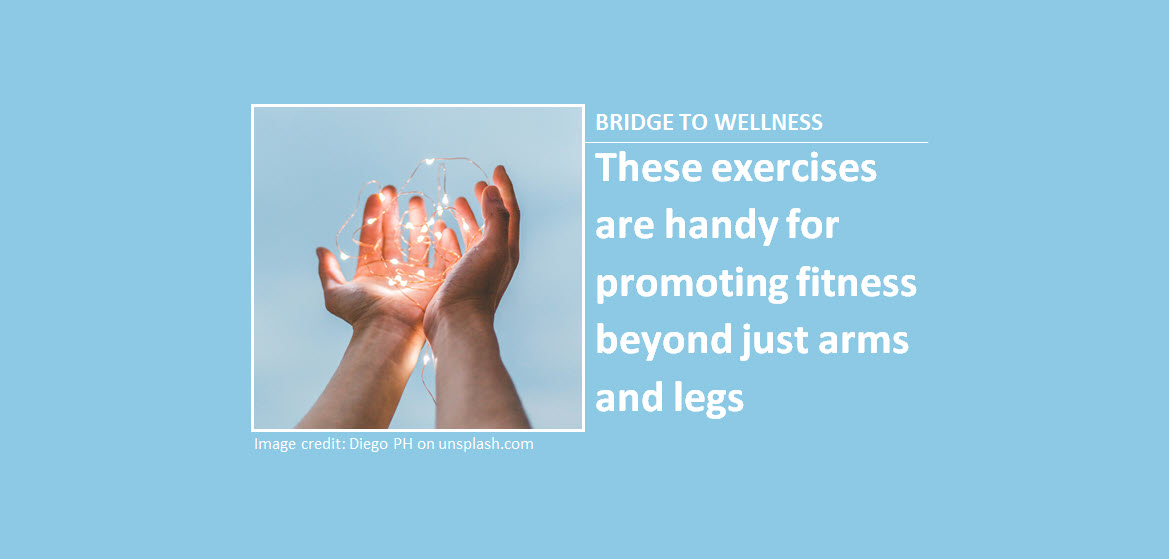 Bridge to Wellness