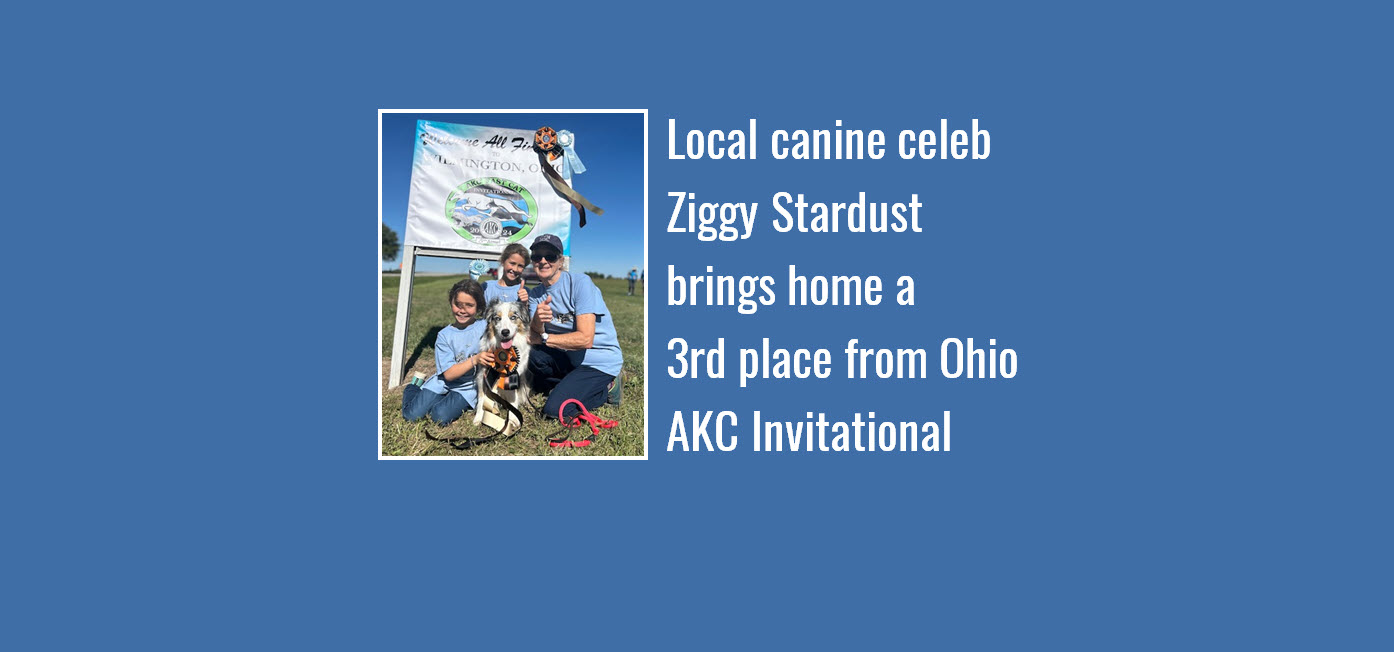 Local canine celeb Ziggy Stardust brings home a 3rd place from Ohio AKC Invitational