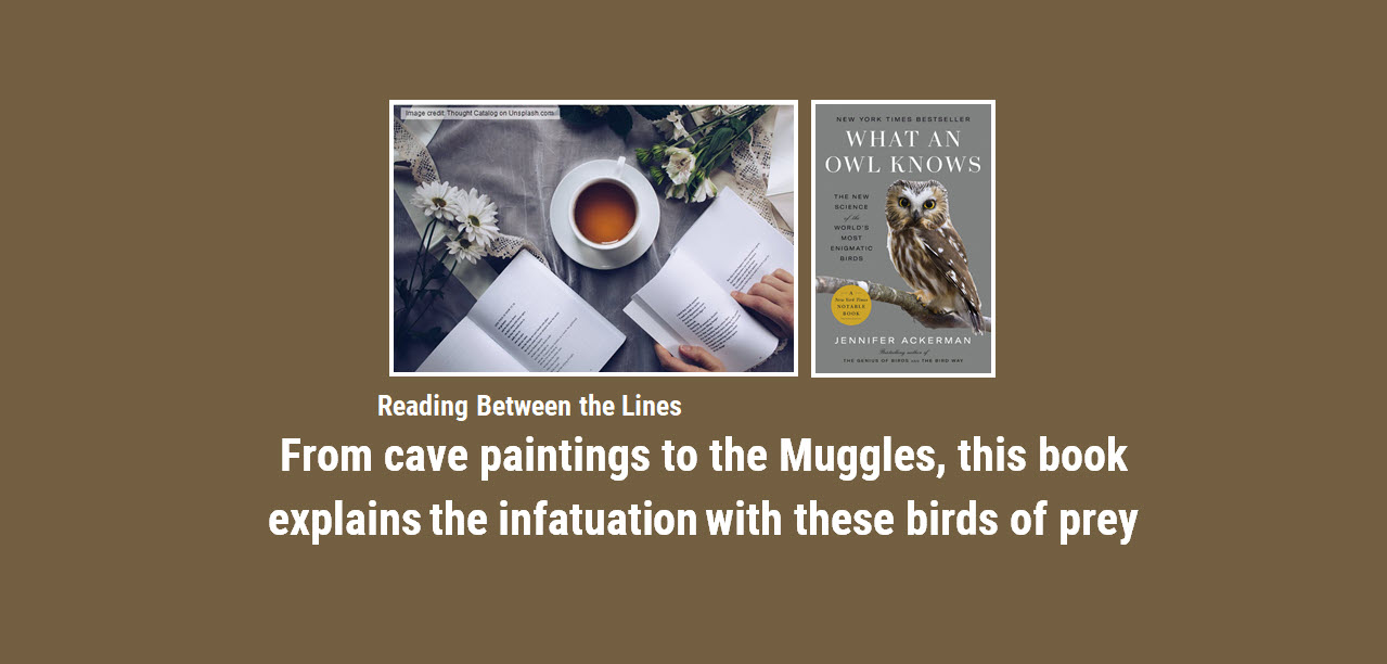 Reading Between the Lines