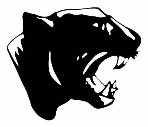 Softball Splits Pair in Season Opener