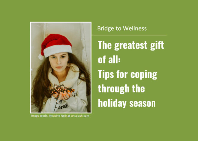 Bridge to Wellness