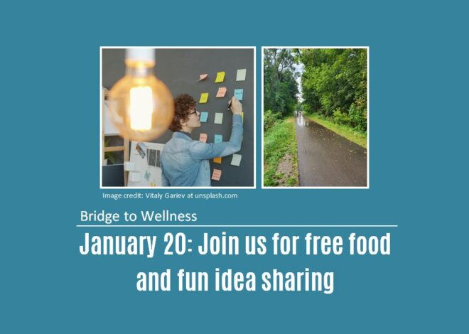Bridge to Wellness