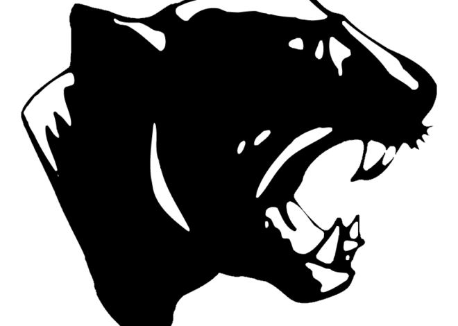 Stockbridge Athletics Set to Join Cascades Conference in 2027