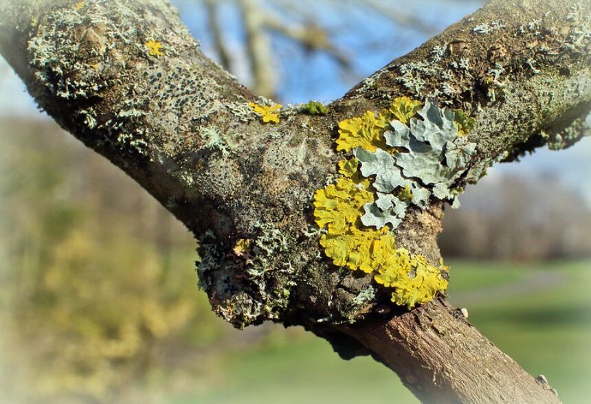 Come Discover Your Natural World!