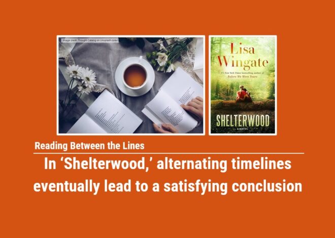 Reading Between the Lines: In ‘Shelterwood,’ alternating timelines eventually lead to a satisfying conclusion