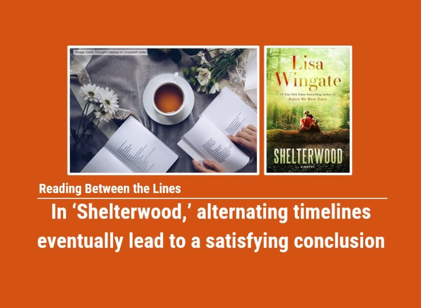 Reading Between the Lines: In ‘Shelterwood,’ alternating timelines eventually lead to a satisfying conclusion