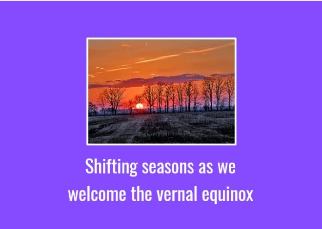 Shifting seasons as we welcome the vernal equinox