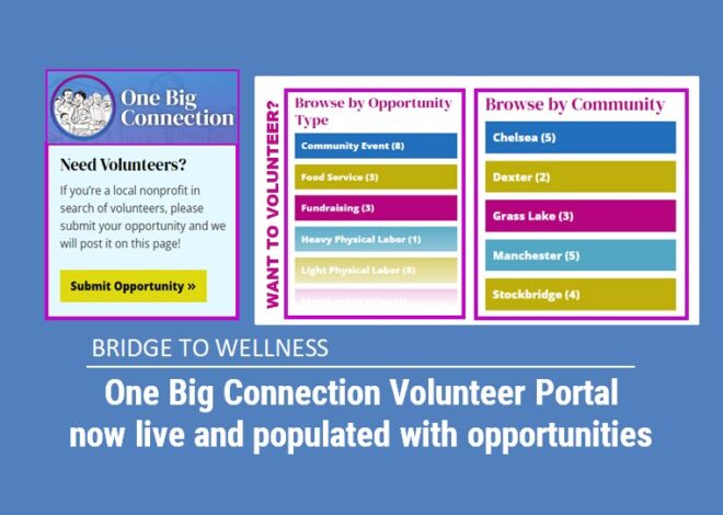 Bridge to Wellness: One Big Connection Volunteer Portal now live and populated with opportunities