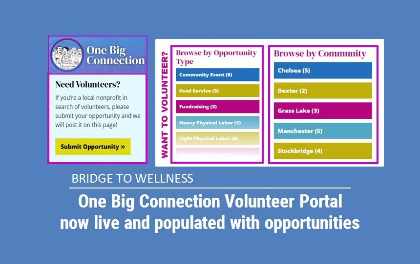 Bridge to Wellness: One Big Connection Volunteer Portal now live and populated with opportunities