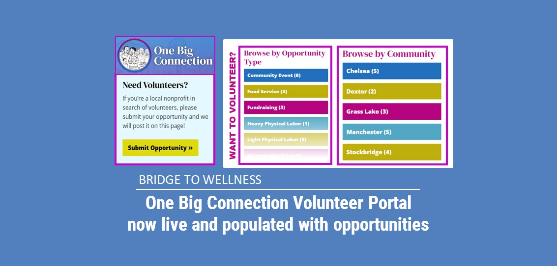 Bridge to Wellness: One Big Connection Volunteer Portal now live and populated with opportunities