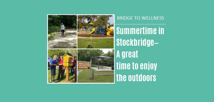 Bridge to Wellness