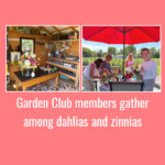 Garden Club visits Sally Keene's gardens